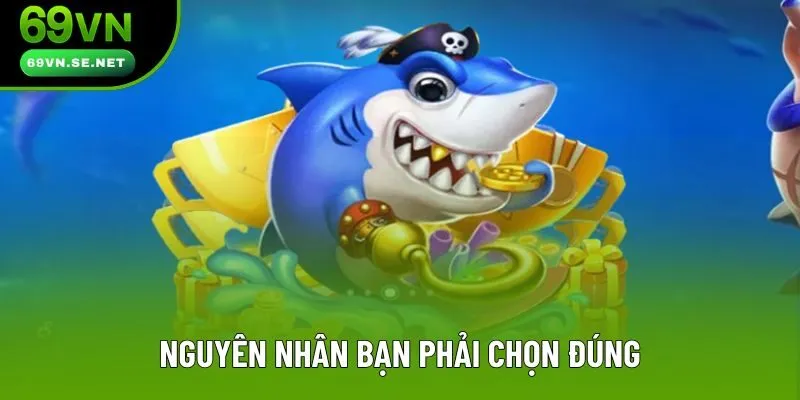 Nguyên nhân bạn phải chọn đúng