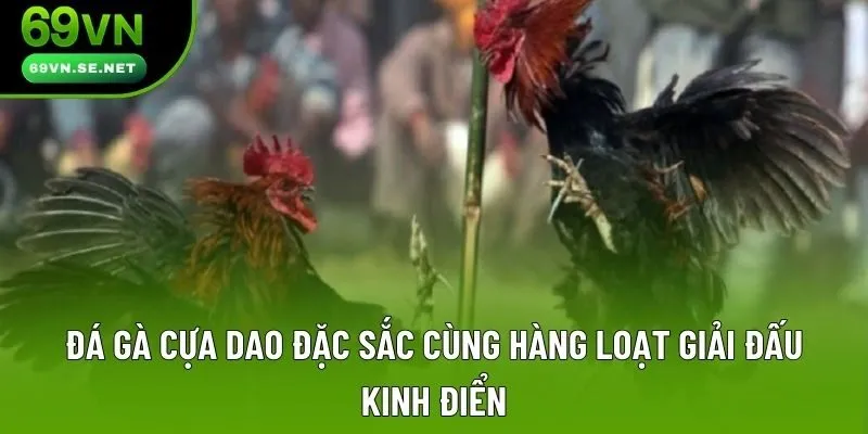 Đá Gà Cựa Dao Đặc Sắc Cùng Hàng Loạt Giải Đấu Kinh Điển
