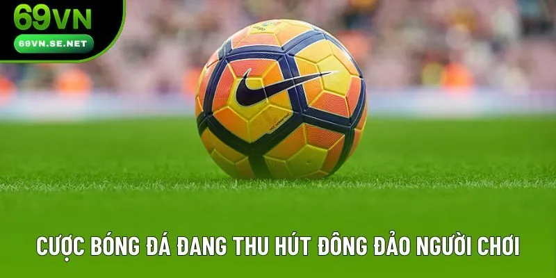 Cược bóng đá đang thu hút đông đảo người chơi