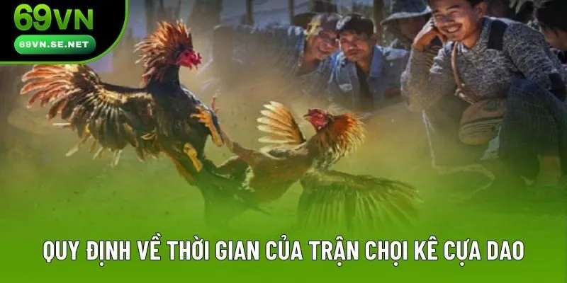 Quy định về thời gian của trận chọi kê cựa dao